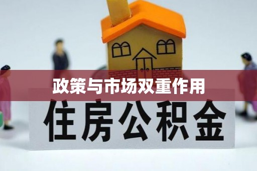 南靖政策与市场双重作用