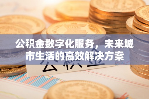 南靖公积金数字化服务，未来城市生活的高效解决方案