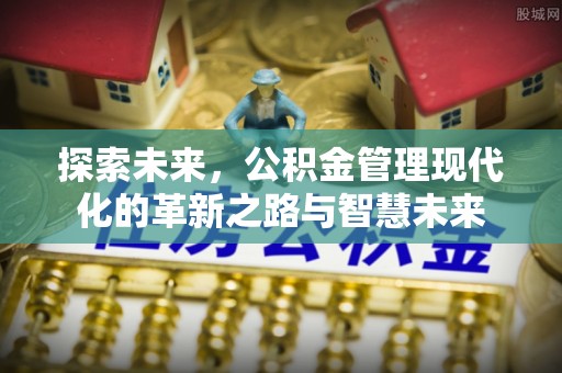 南靖探索未来，公积金管理现代化的革新之路与智慧未来