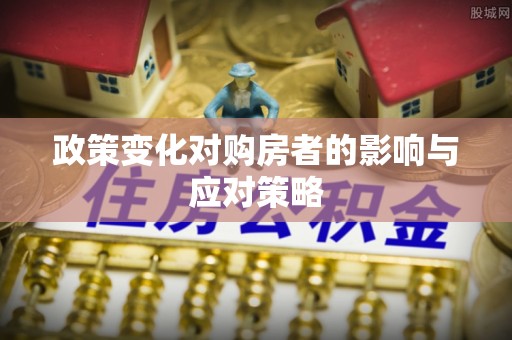 南靖政策变化对购房者的影响与应对策略
