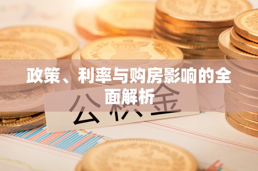南靖政策、利率与购房影响的全面解析