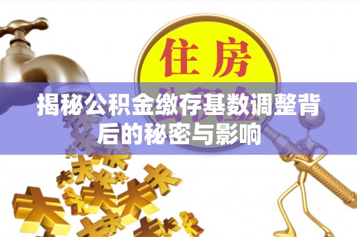南靖揭秘公积金缴存基数调整背后的秘密与影响