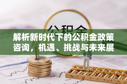 南靖解析新时代下的公积金政策咨询，机遇、挑战与未来展望