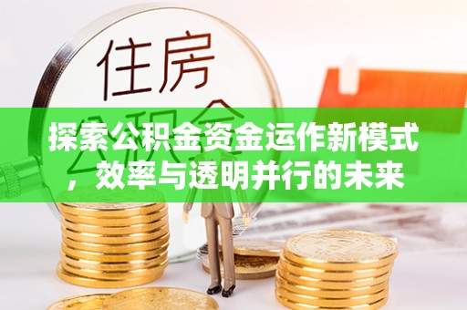 南靖探索公积金资金运作新模式，效率与透明并行的未来