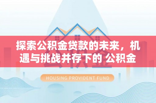南靖探索公积金贷款的未来，机遇与挑战并存下的 公积金贷款风险防控