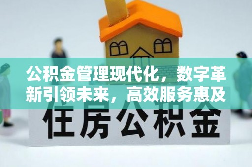 南靖公积金管理现代化，数字革新引领未来，高效服务惠及民生
