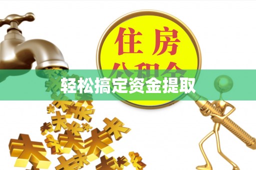 南靖轻松搞定资金提取