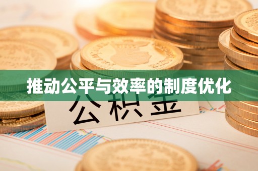 南靖推动公平与效率的制度优化