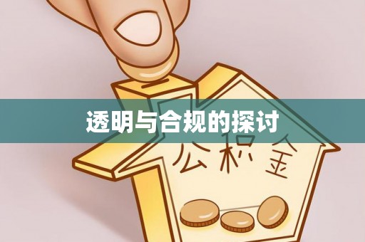南靖透明与合规的探讨