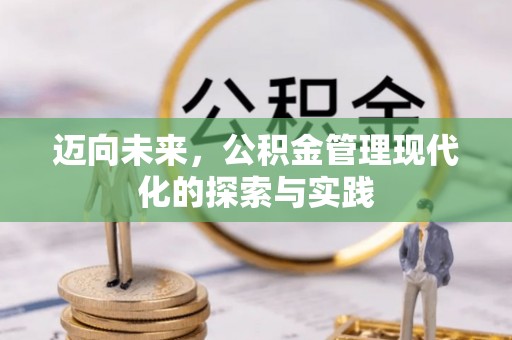 南靖迈向未来，公积金管理现代化的探索与实践