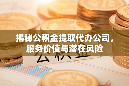 南靖揭秘公积金提取代办公司，服务价值与潜在风险