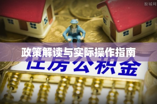 南靖政策解读与实际操作指南