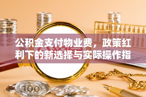 南靖公积金支付物业费，政策红利下的新选择与实际操作指南