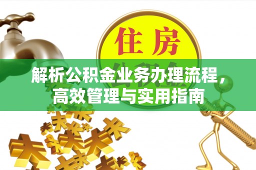 南靖解析公积金业务办理流程，高效管理与实用指南