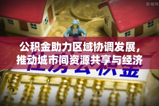 南靖公积金助力区域协调发展，推动城市间资源共享与经济均衡发展