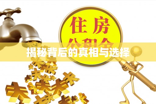 南靖揭秘背后的真相与选择