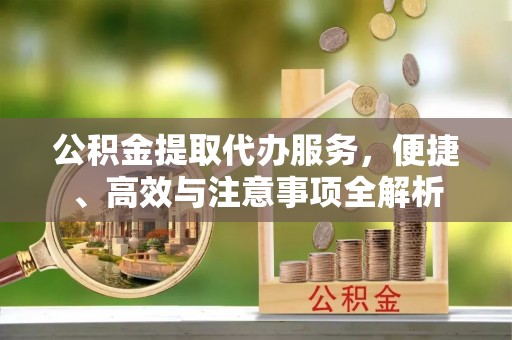 南靖公积金提取代办服务，便捷、高效与注意事项全解析