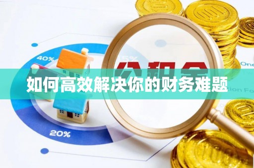 南靖如何高效解决你的财务难题