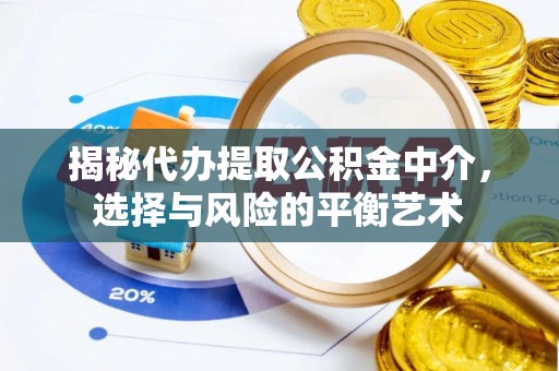 南靖揭秘代办提取公积金中介，选择与风险的平衡艺术