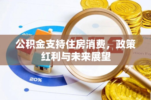 南靖公积金支持住房消费，政策红利与未来展望