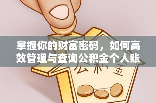 南靖掌握你的财富密码，如何高效管理与查询公积金个人账户信息