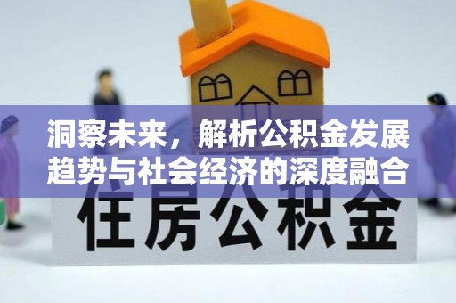 南靖洞察未来，解析公积金发展趋势与社会经济的深度融合