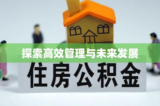 南靖探索高效管理与未来发展