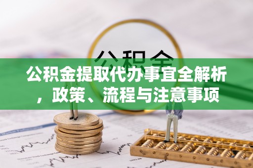南靖公积金提取代办事宜全解析，政策、流程与注意事项