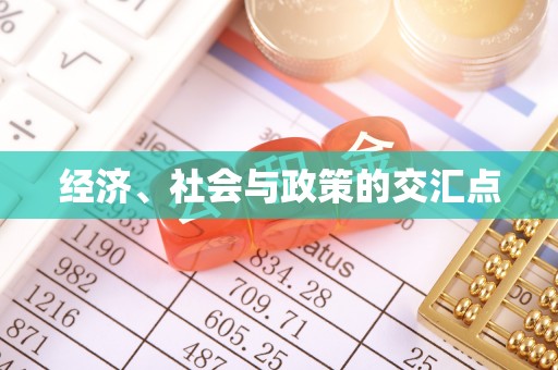 南靖经济、社会与政策的交汇点