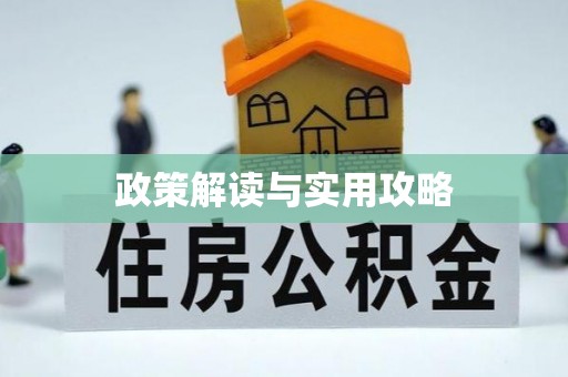 南靖政策解读与实用攻略