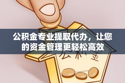 南靖公积金专业提取代办，让您的资金管理更轻松高效
