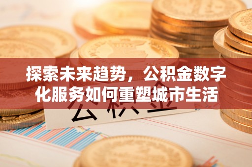 南靖探索未来趋势，公积金数字化服务如何重塑城市生活
