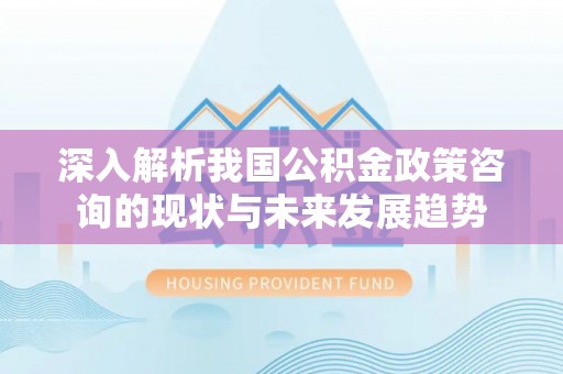 南靖深入解析我国公积金政策咨询的现状与未来发展趋势
