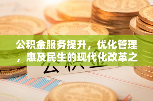 南靖公积金服务提升，优化管理，惠及民生的现代化改革之路