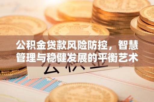 南靖公积金贷款风险防控，智慧管理与稳健发展的平衡艺术