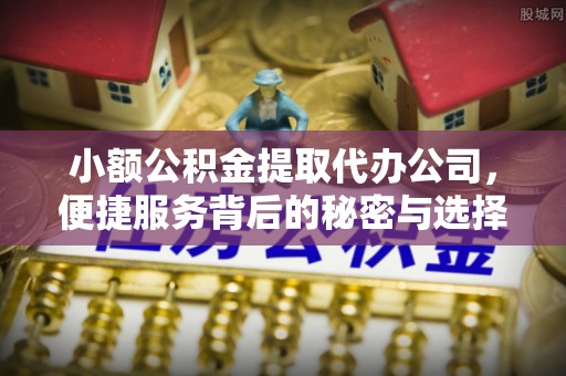 南靖小额公积金提取代办公司，便捷服务背后的秘密与选择指南