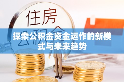南靖探索公积金资金运作的新模式与未来趋势