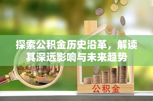 南靖探索公积金历史沿革，解读其深远影响与未来趋势