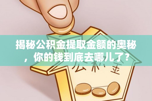 南靖揭秘公积金提取金额的奥秘，你的钱到底去哪儿了？