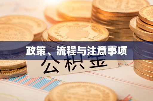 南靖政策、流程与注意事项