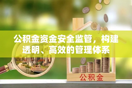 南靖公积金资金安全监管，构建透明、高效的管理体系