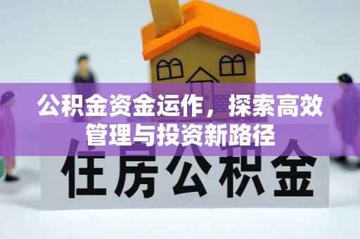 南靖公积金资金运作，探索高效管理与投资新路径