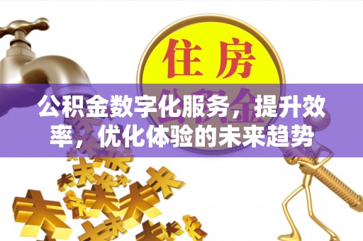南靖公积金数字化服务，提升效率，优化体验的未来趋势