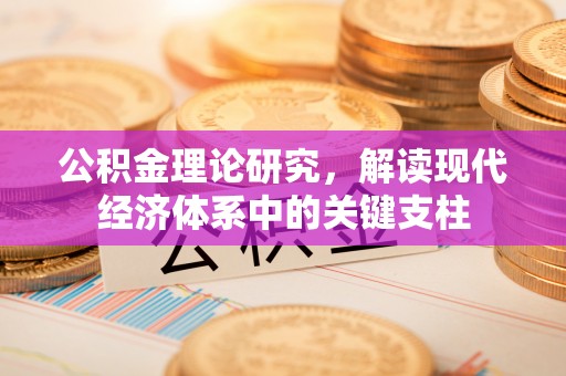 南靖公积金理论研究，解读现代经济体系中的关键支柱