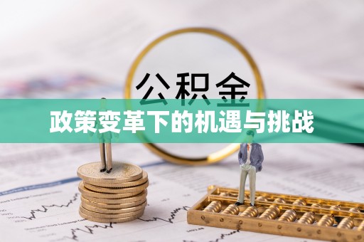 南靖政策变革下的机遇与挑战