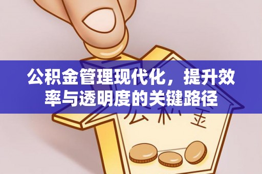 南靖公积金管理现代化，提升效率与透明度的关键路径