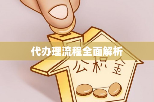 南靖代办理流程全面解析