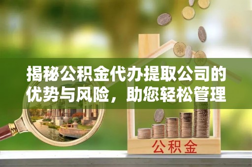 南靖揭秘公积金代办提取公司的优势与风险，助您轻松管理财务
