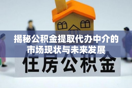 南靖揭秘公积金提取代办中介的市场现状与未来发展