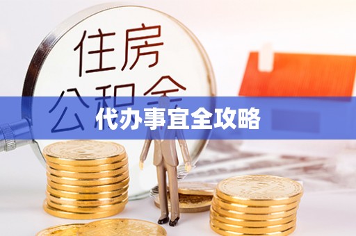 南靖代办事宜全攻略